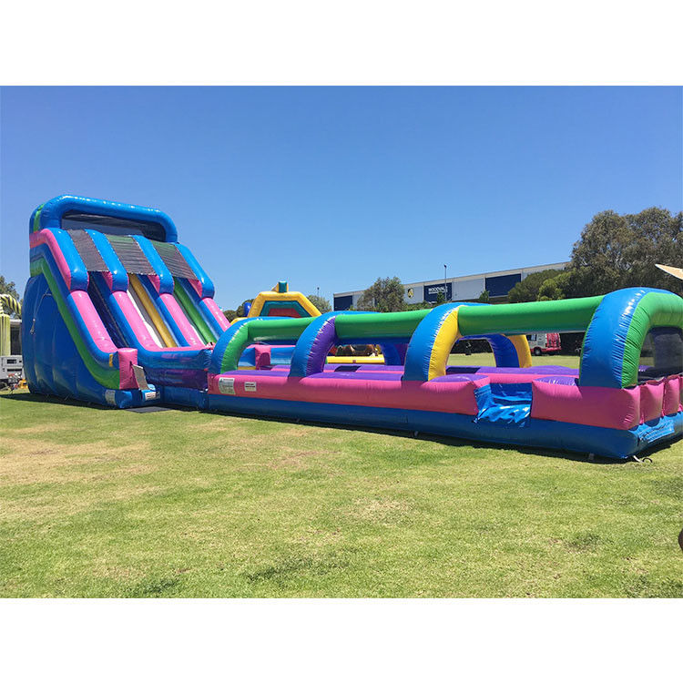 Deslizamiento de agua inflable Salto del deslizamiento de la fiesta Pvc 18ft delfín deslizamiento de agua para piscina
