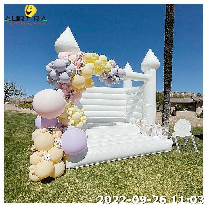 Combo húmedo Nueva casa de rebote inflable con soplador Mini casa de rebote con hoyo de bolas
